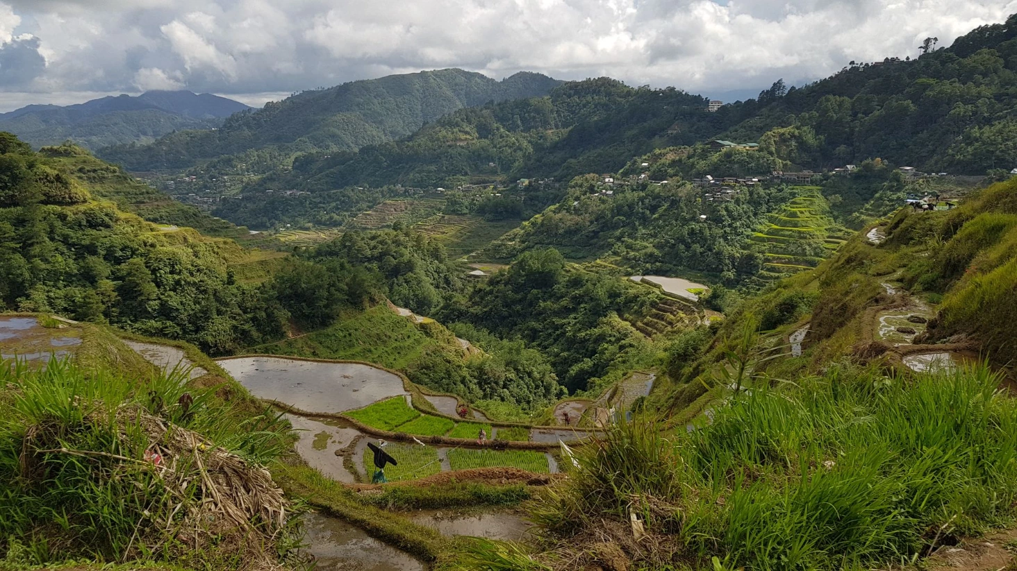Rizières Banaue
