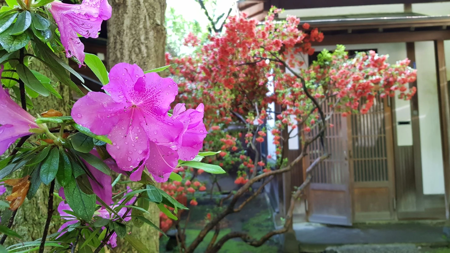 Fleurs Tokyo
