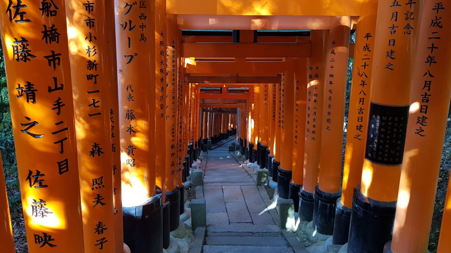 Torii Kyoto