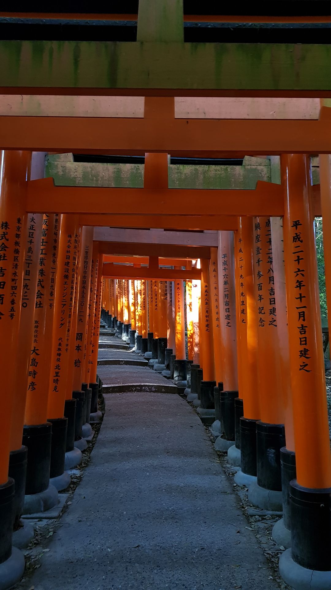 Torii Kyoto