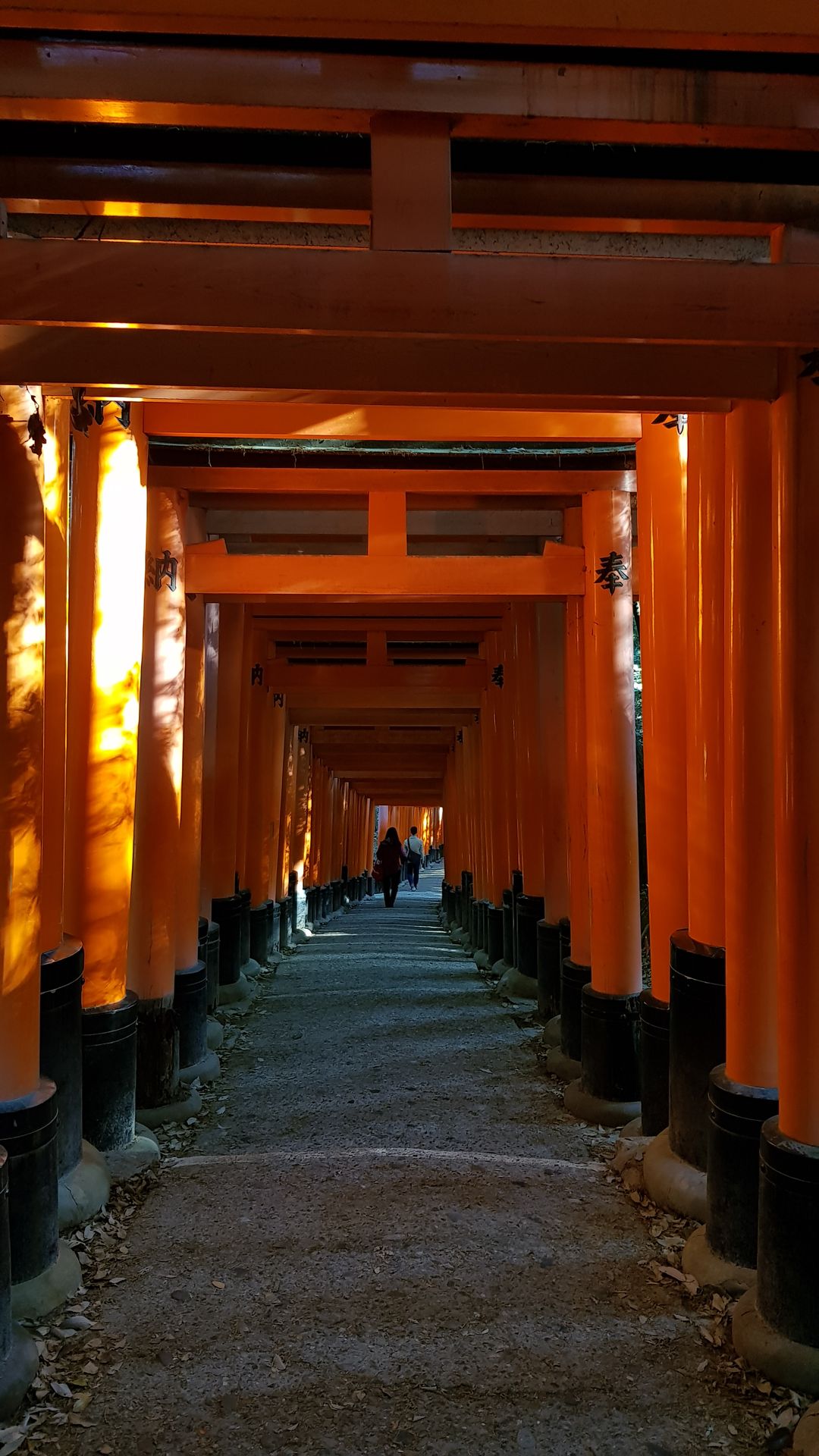 Torii Kyoto