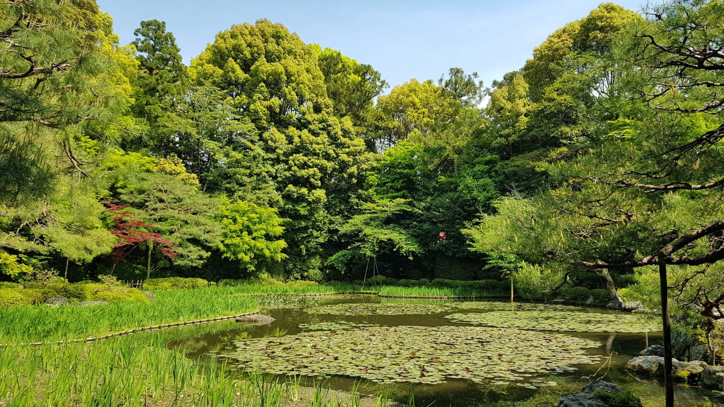 Jardin Kyoto