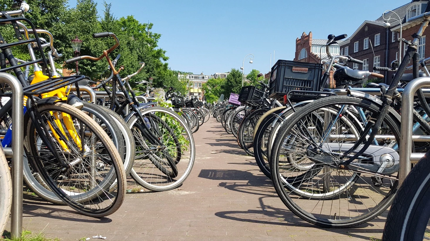 Amsterdam vélo