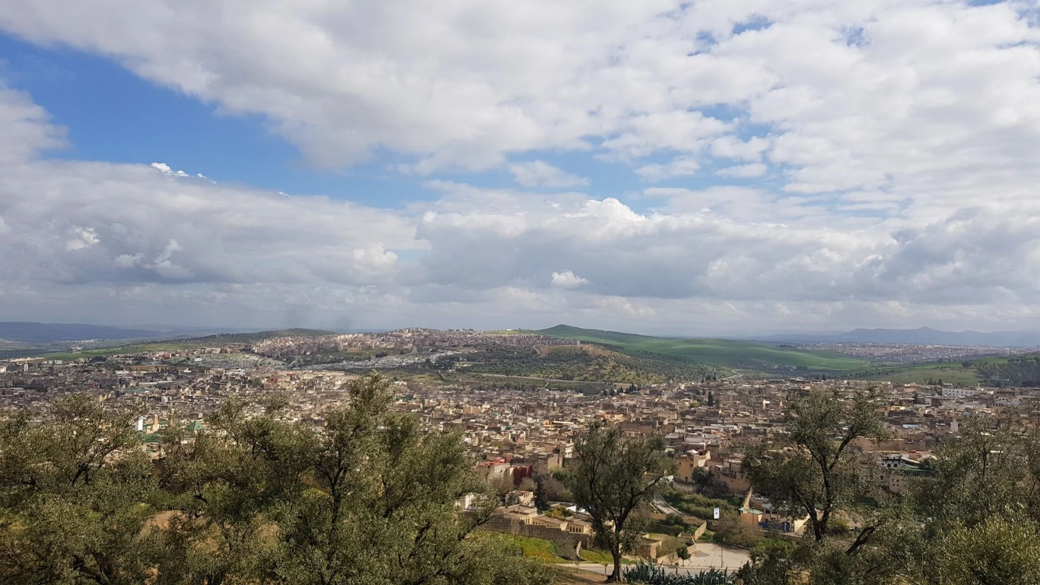 Fes vue Medina
