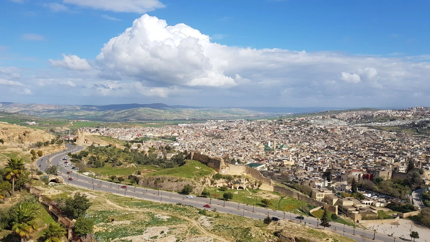 Fes vue Medina