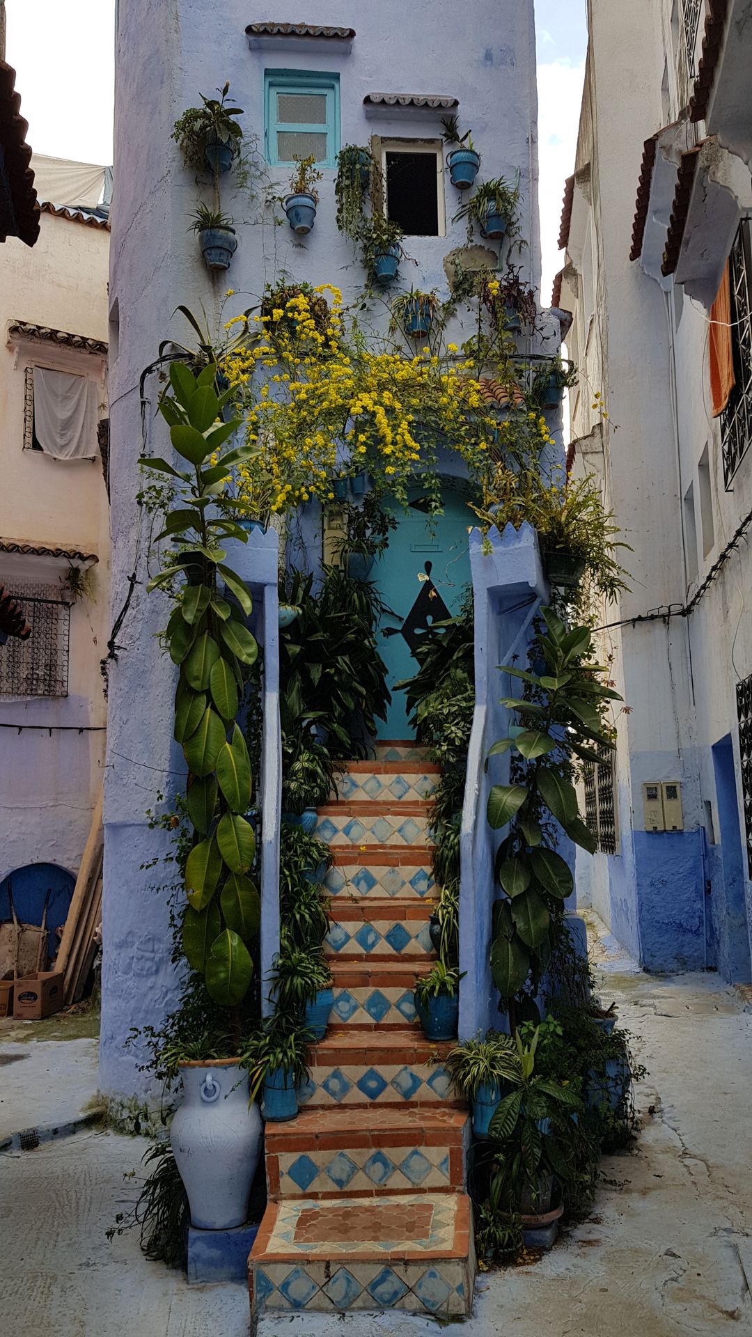 Chefchaouen maison bleue