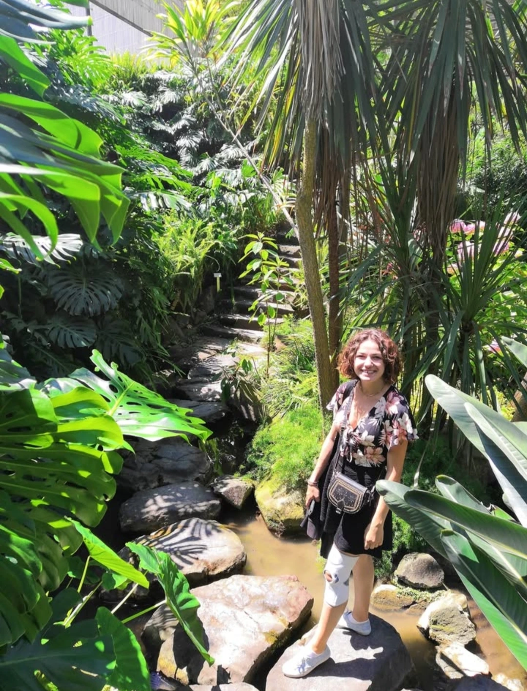 Jardin botanique Lisbonne