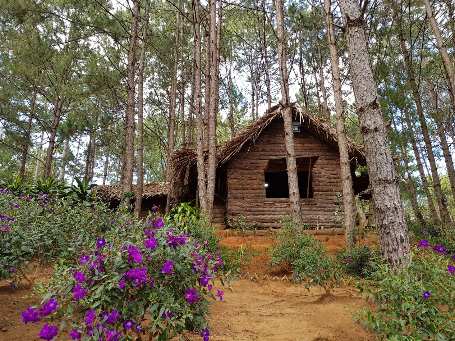Secret Garden Da Lat