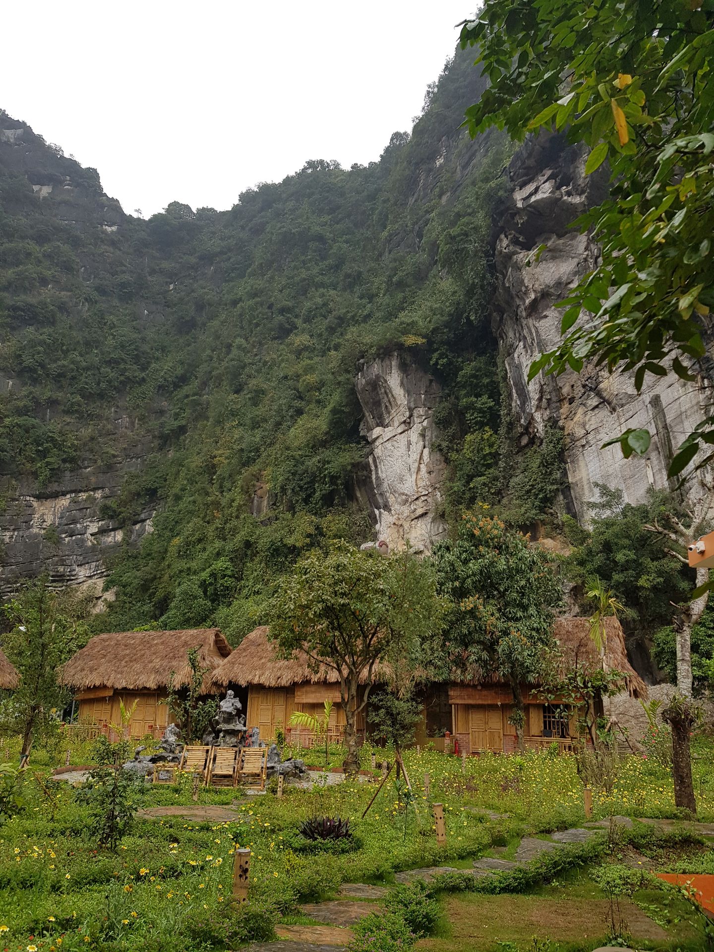 Ninh Binh maison bamboo