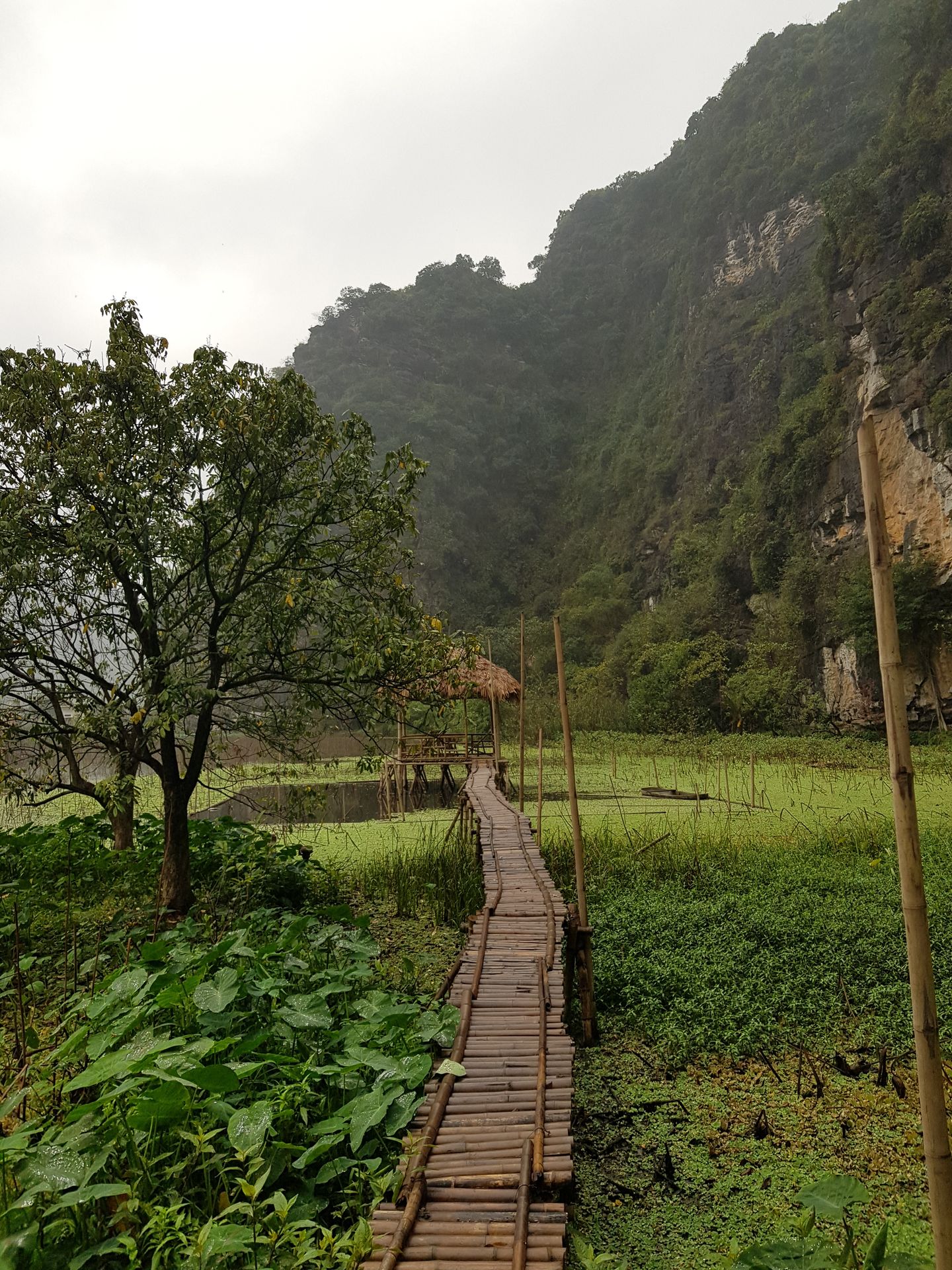 Ninh Binh 