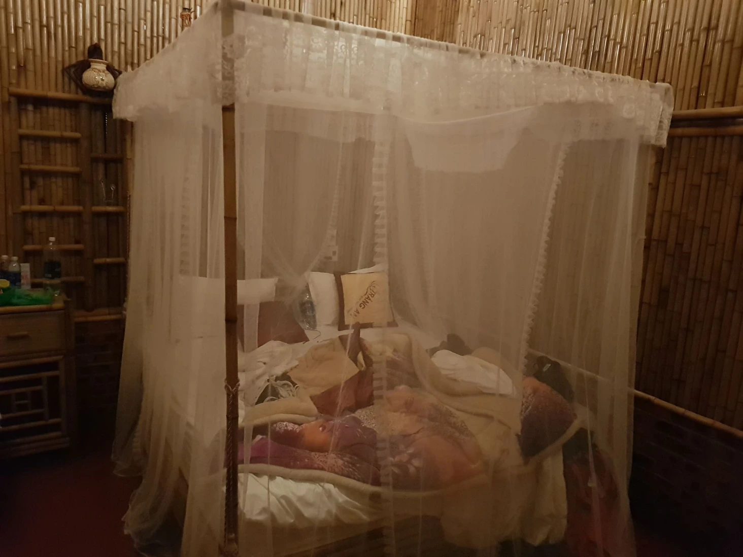 Ninh Binh maison bamboo