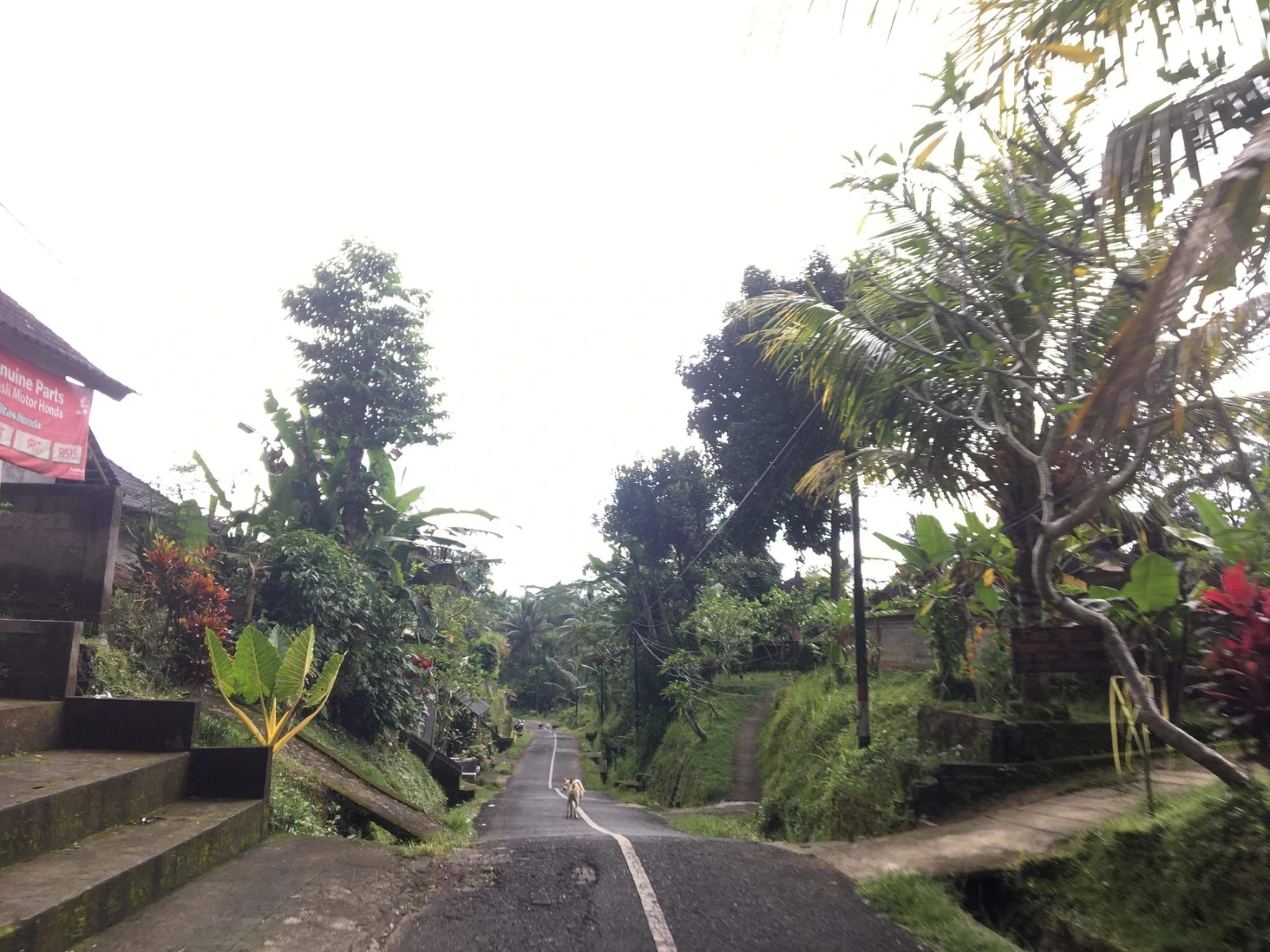 Route Bali